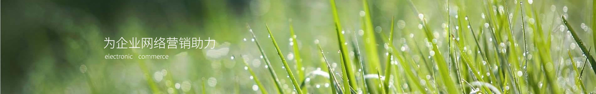 Ӣػеչ޹˾